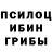 Каннабис планчик Maryam Zalimbaeva
