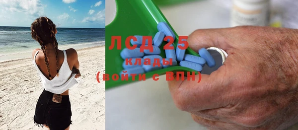 прущие грибы Киренск