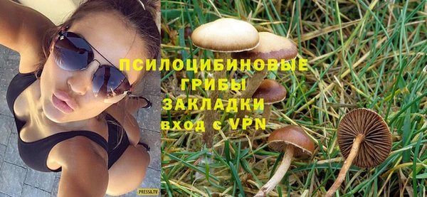 мяу мяу мука Костерёво